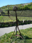 Terrassenweinbau in der Wachau 